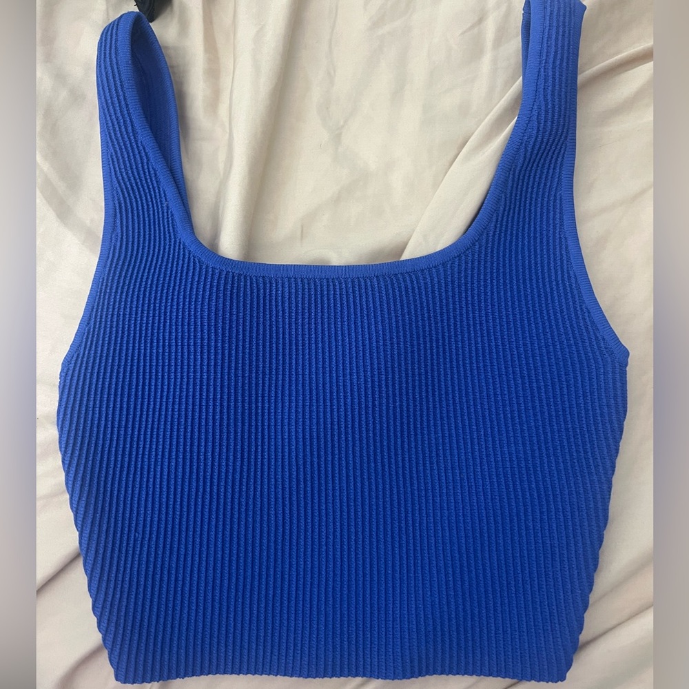 ARITZIA Royal Blue Ribbed Tank Top